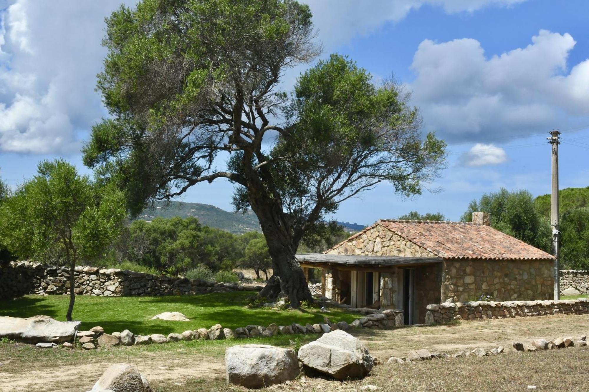 Petra D'Arana Villa Palau Exterior foto